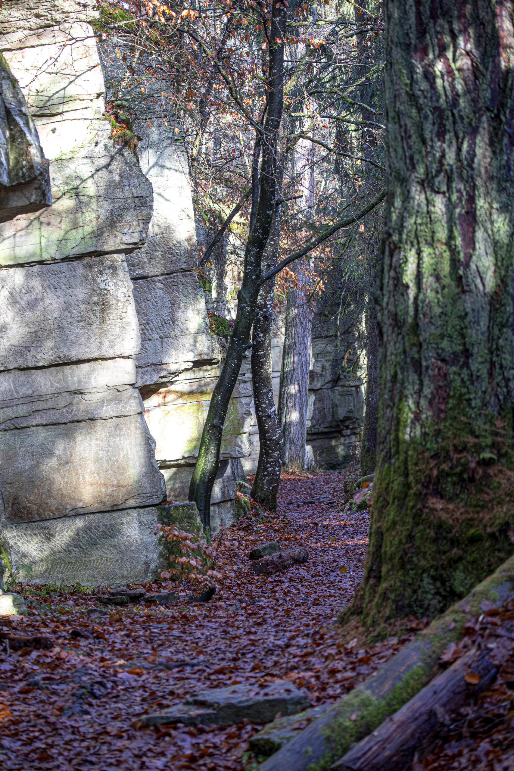 20251129121624 RD4 0766